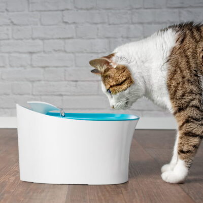 Alternative view of Fontaine à Eau Automatique pour Chats – 3,5L