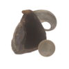 Corne de Mouton Petite Corne de Mouton Petite