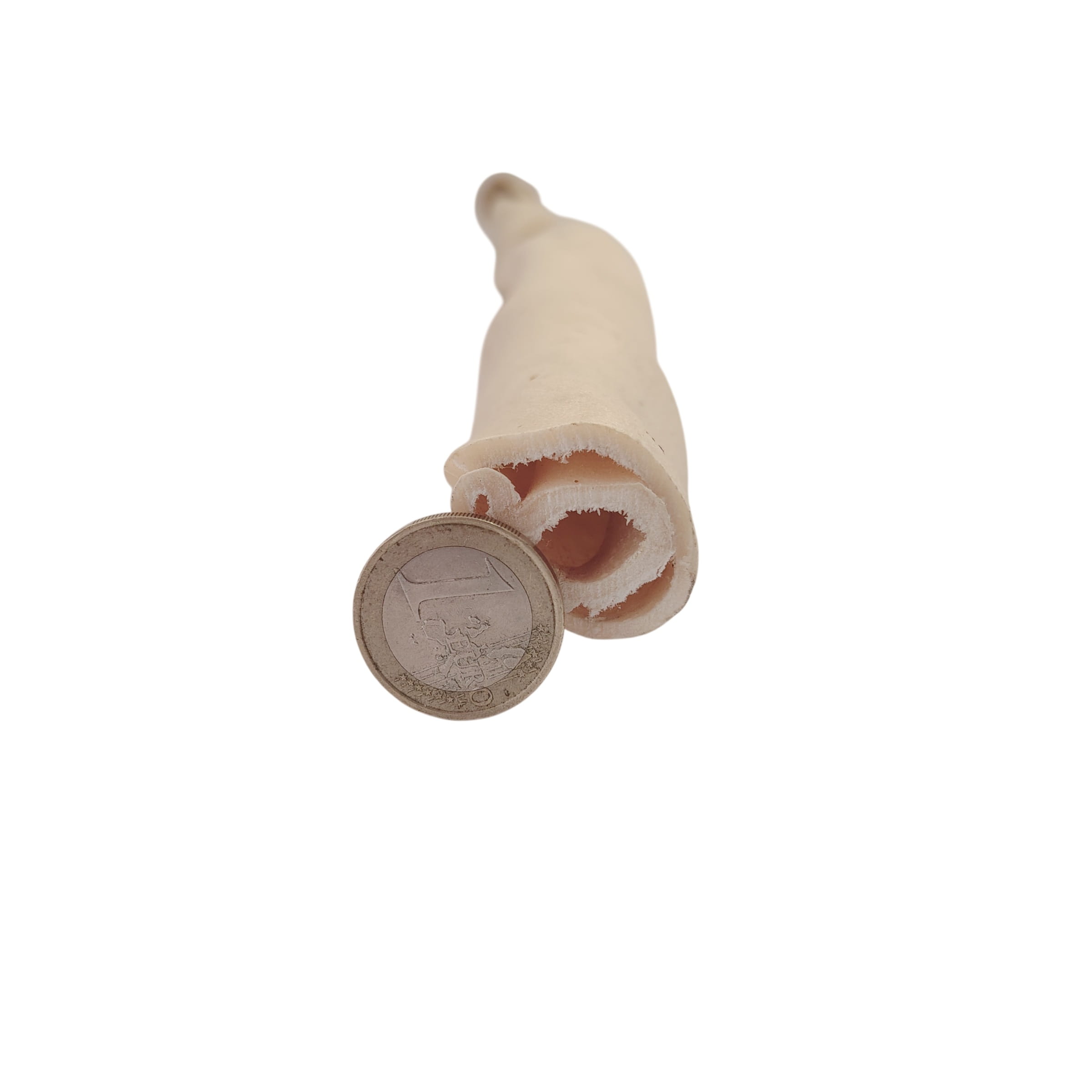 Peau de Bœuf Tordue 50cm