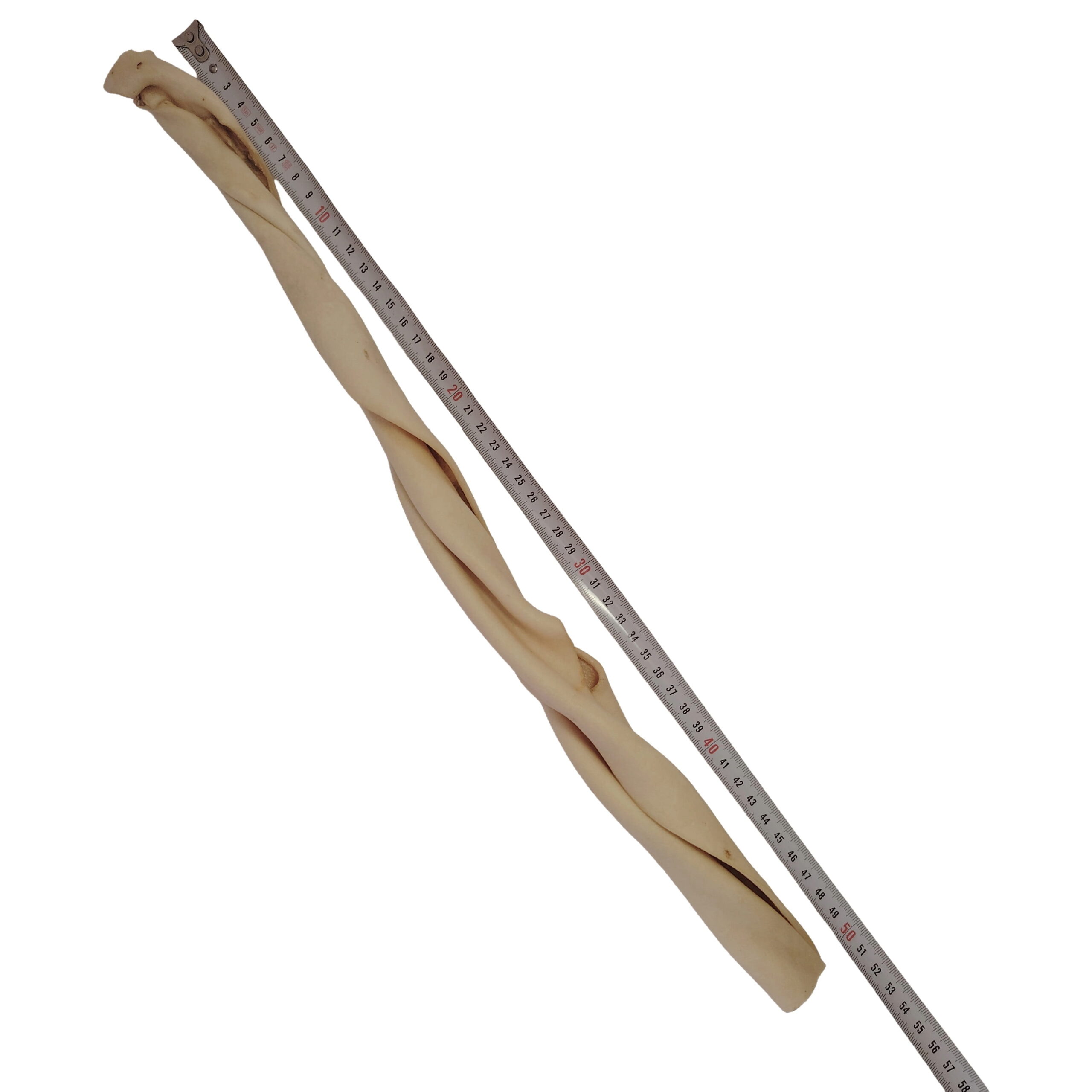 Peau de Bœuf Tordue 50cm