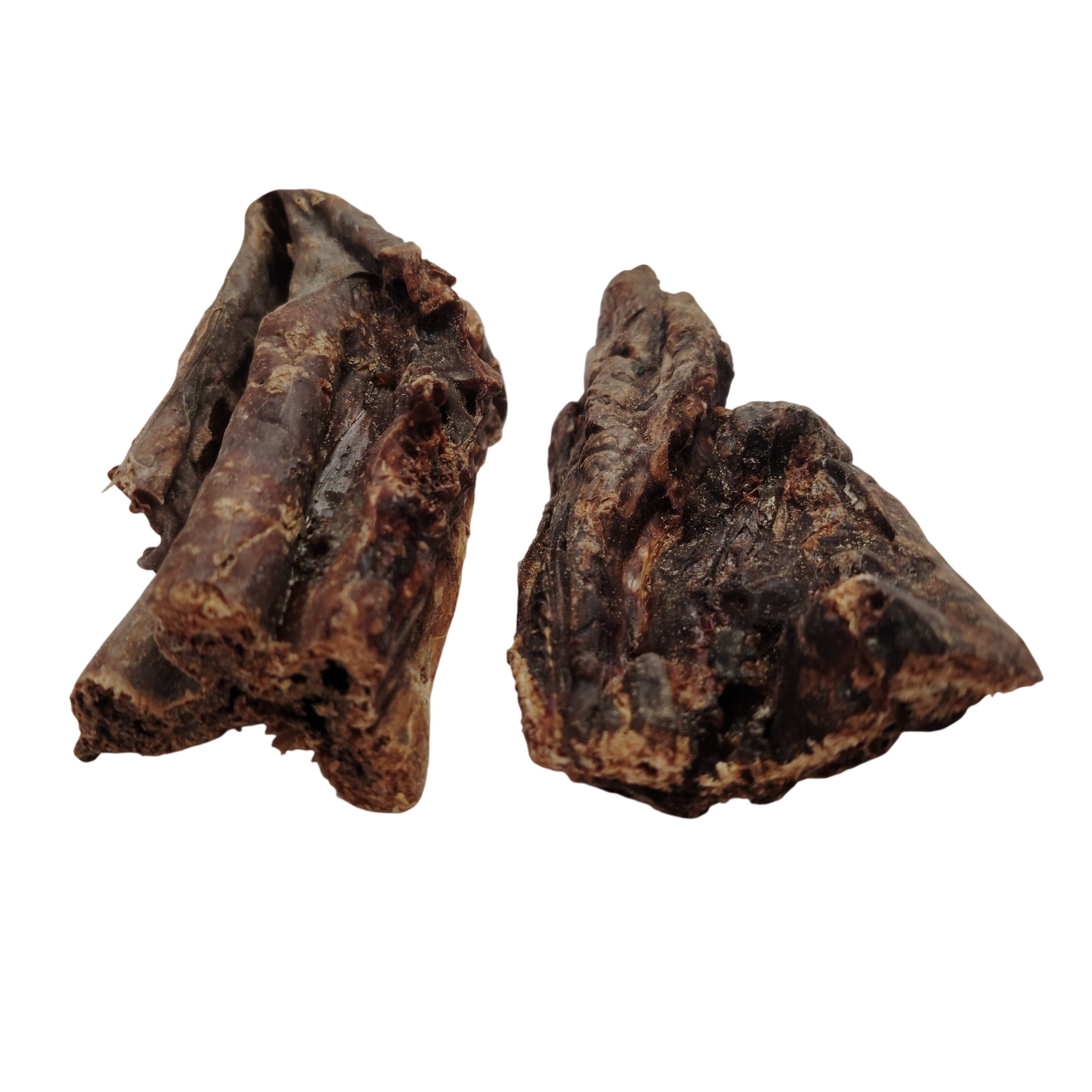 Poumon de Bœuf 15cm Poumon de Bœuf 15cm