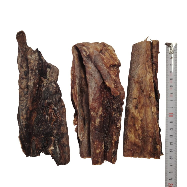Poumon de Bœuf 15cm Poumon de Bœuf 15cm