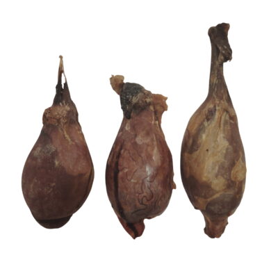 Testicule de Chèvre Rond