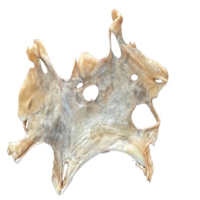 Masque de Peau de Tête d'Agneau
