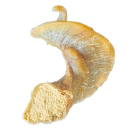 Corne de Mouton Farci
